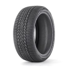 225/45 R19 Fronway Icemaster I 96V XL
