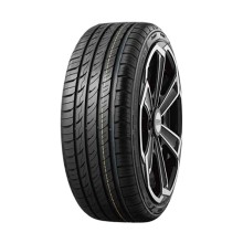 205/55 R16 Rapid P609 91W